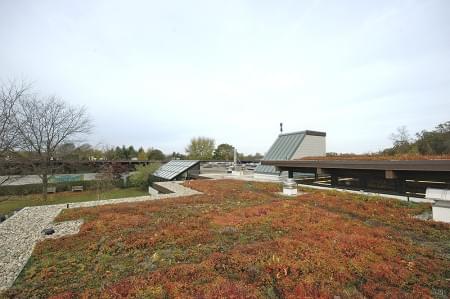 GreenHills School green roof