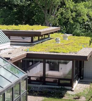 green-roof2